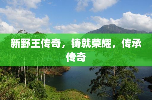 新野王传奇，铸就荣耀，传承传奇
