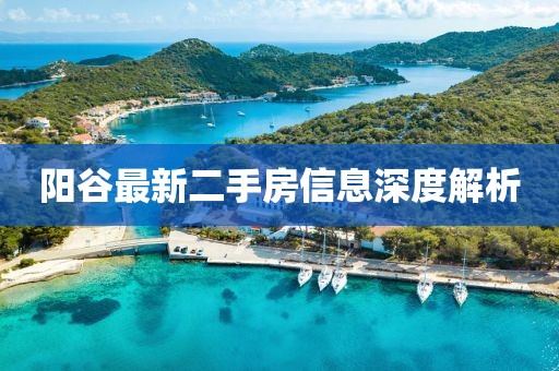 阳谷最新二手房信息深度解析