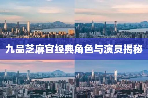 九品芝麻官经典角色与演员揭秘