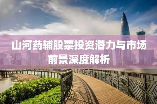 山河药辅股票投资潜力与市场前景深度解析