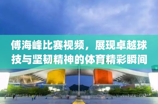 傅海峰比赛视频，展现卓越球技与坚韧精神的体育精彩瞬间