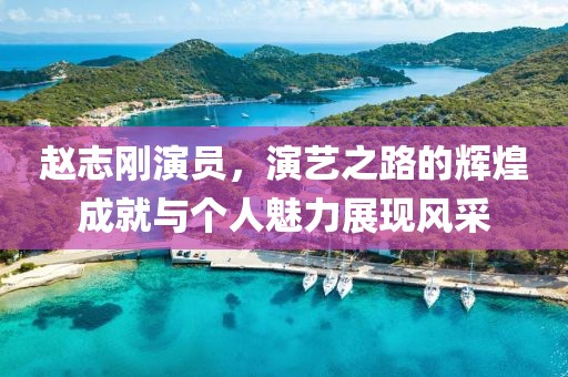 赵志刚演员，演艺之路的辉煌成就与个人魅力展现风采