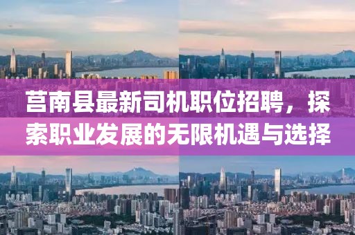 莒南县最新司机职位招聘，探索职业发展的无限机遇与选择