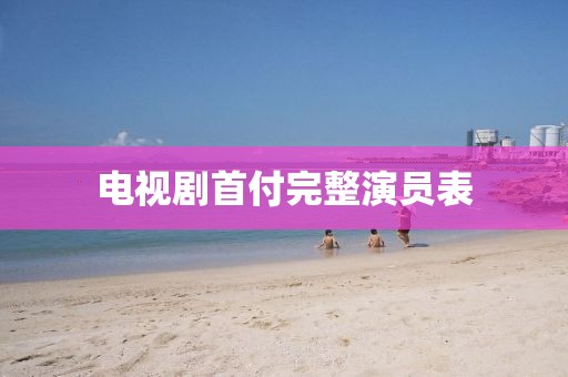 电视剧首付完整演员表