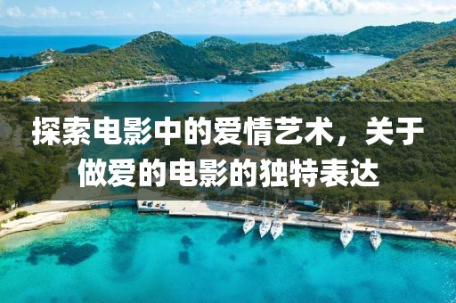 探索电影中的爱情艺术，关于做爱的电影的独特表达