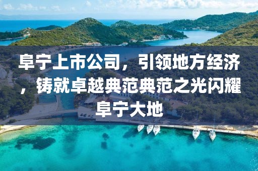 阜宁上市公司，引领地方经济，铸就卓越典范典范之光闪耀阜宁大地