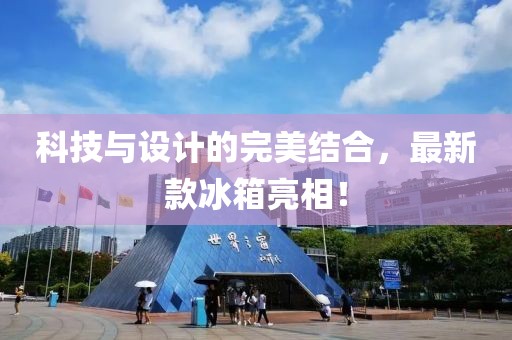 科技与设计的完美结合，最新款冰箱亮相！