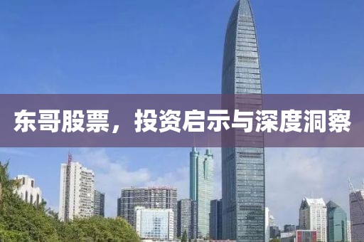 东哥股票，投资启示与深度洞察