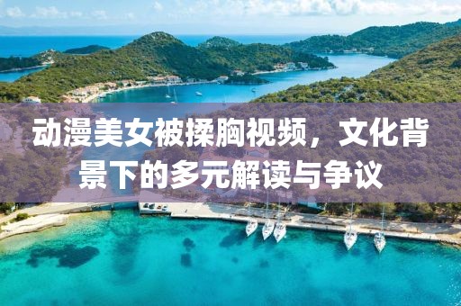 动漫美女被揉胸视频，文化背景下的多元解读与争议