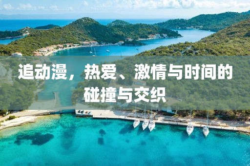 追动漫，热爱、激情与时间的碰撞与交织
