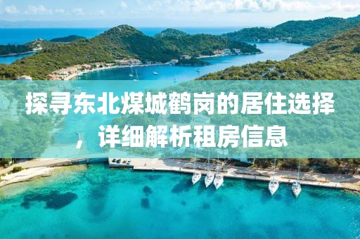 探寻东北煤城鹤岗的居住选择，详细解析租房信息