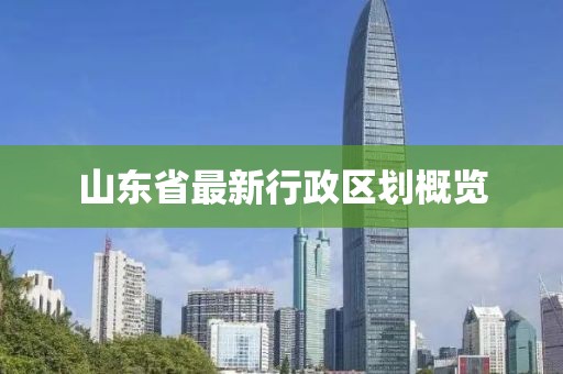 山东省最新行政区划概览