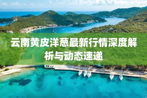 云南黄皮洋葱最新行情深度解析与动态速递
