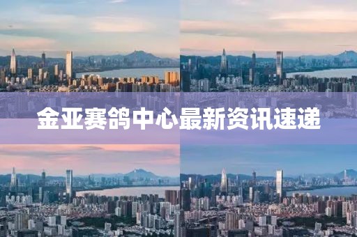 金亚赛鸽中心最新资讯速递