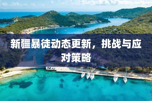 新疆暴徒动态更新，挑战与应对策略