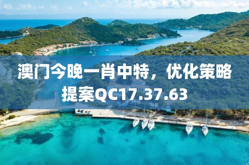 澳门今晚一肖中特，优化策略提案QC17.37.63