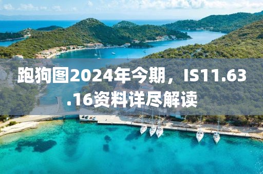 烟花不堪剪 第16页