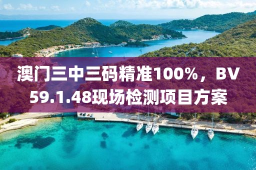 澳门三中三码精准100%，BV59.1.48现场检测项目方案