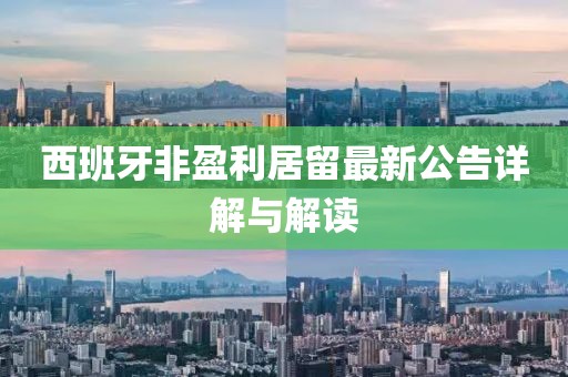 西班牙非盈利居留最新公告详解与解读
