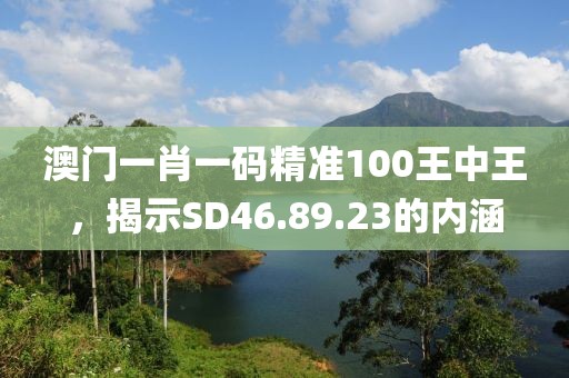 澳门一肖一码精准100王中王，揭示SD46.89.23的内涵