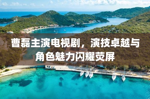 曹磊主演电视剧，演技卓越与角色魅力闪耀荧屏
