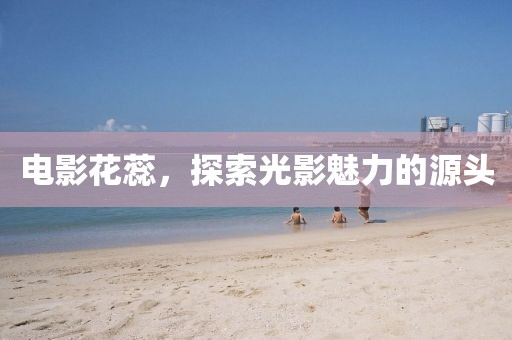 电影花蕊，探索光影魅力的源头