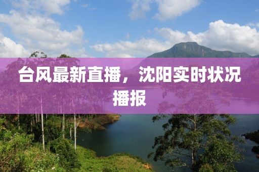台风最新直播，沈阳实时状况播报