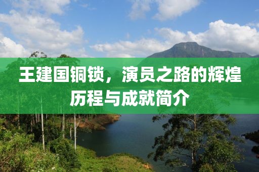 王建国铜锁，演员之路的辉煌历程与成就简介