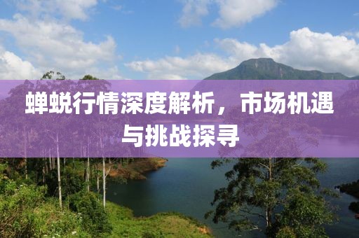 蝉蜕行情深度解析，市场机遇与挑战探寻