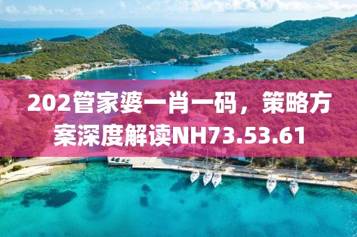 202管家婆一肖一码，策略方案深度解读NH73.53.61