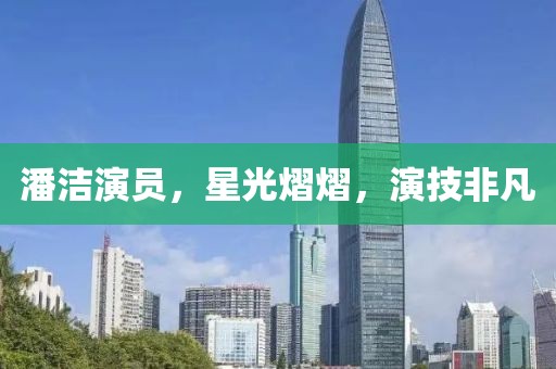 潘洁演员，星光熠熠，演技非凡