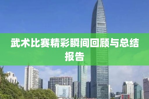 武术比赛精彩瞬间回顾与总结报告