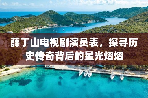 薛丁山电视剧演员表，探寻历史传奇背后的星光熠熠