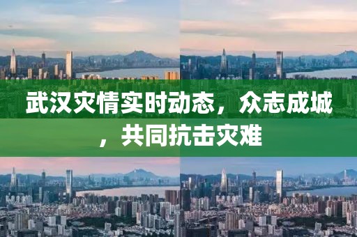 武汉灾情实时动态，众志成城，共同抗击灾难