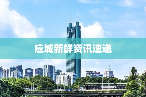 应城新鲜资讯速递