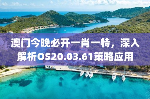 澳门今晚必开一肖一特，深入解析OS20.03.61策略应用