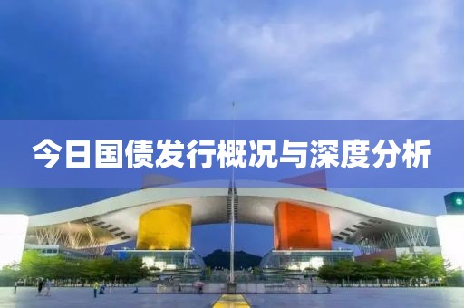 今日国债发行概况与深度分析