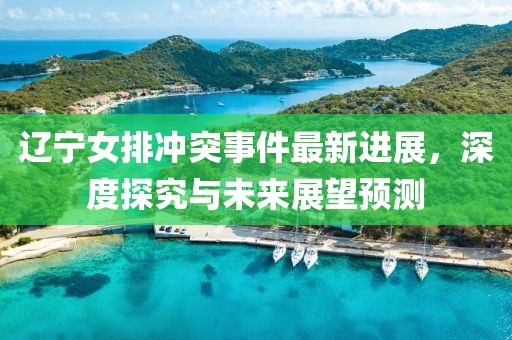 辽宁女排冲突事件最新进展，深度探究与未来展望预测