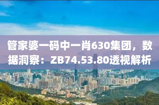 管家婆一码中一肖630集团，数据洞察：ZB74.53.80透视解析