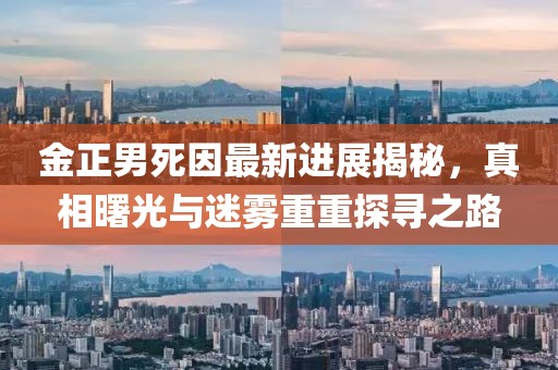 金正男死因最新进展揭秘，真相曙光与迷雾重重探寻之路