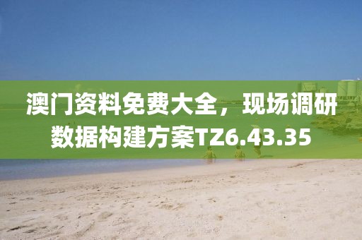 澳门资料免费大全，现场调研数据构建方案TZ6.43.35