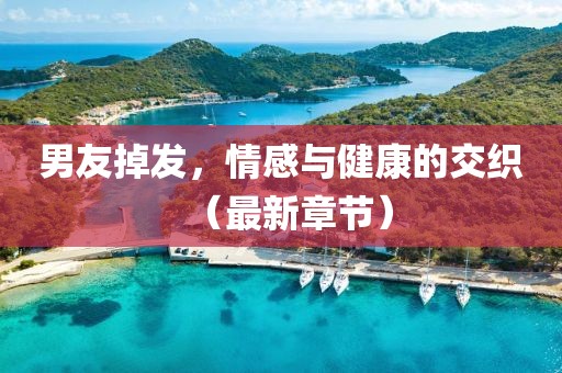 男友掉发，情感与健康的交织（最新章节）