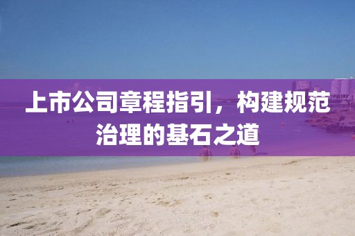 上市公司章程指引，构建规范治理的基石之道