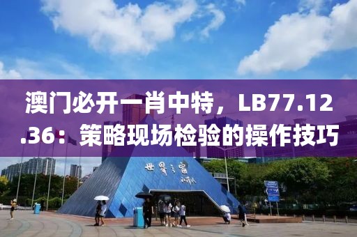 澳门必开一肖中特，LB77.12.36：策略现场检验的操作技巧