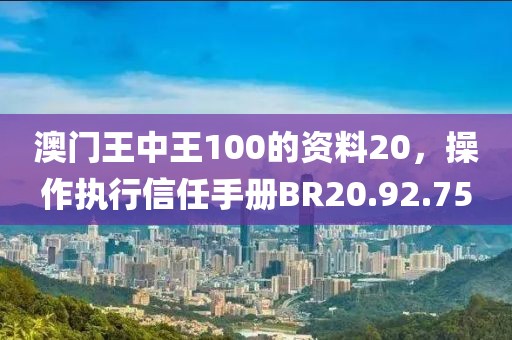 澳门王中王100的资料20，操作执行信任手册BR20.92.75