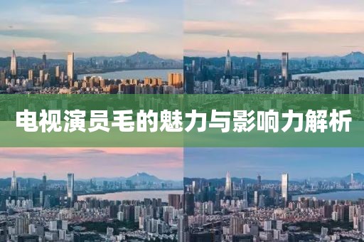 电视演员毛的魅力与影响力解析