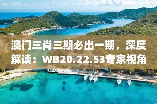 澳门三肖三期必出一期，深度解读：WB20.22.53专家视角