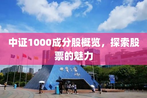 中证1000成分股概览，探索股票的魅力