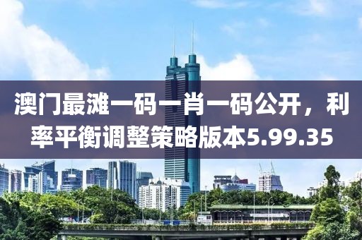 澳门最滩一码一肖一码公开，利率平衡调整策略版本5.99.35