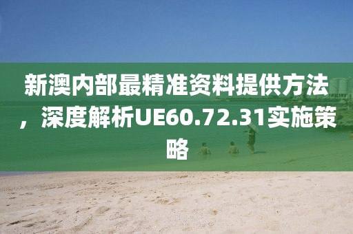 新澳内部最精准资料提供方法，深度解析UE60.72.31实施策略